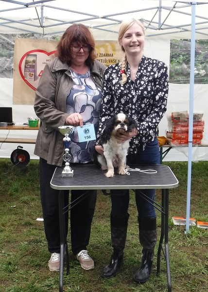 KV 2020-I, 11.7.2020, Městec Králové